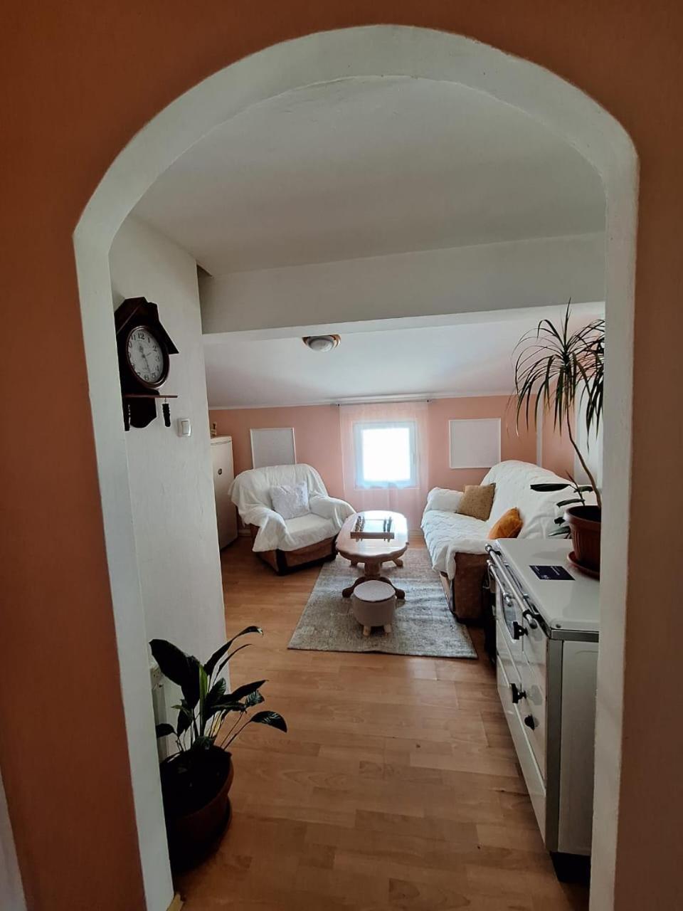 Apartment Duca Pluzine Bagian luar foto
